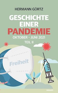 Geschichte einer Pandemie Teil II - Hermann Görtz - E-Book