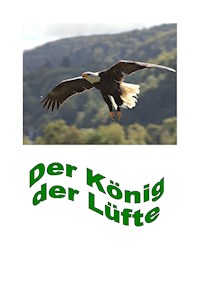 Der König der Lüfte - Joachim Schneider - E-Book