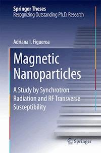 Magnetic Nanoparticles - Adriana I. Figueroa - E-Book
