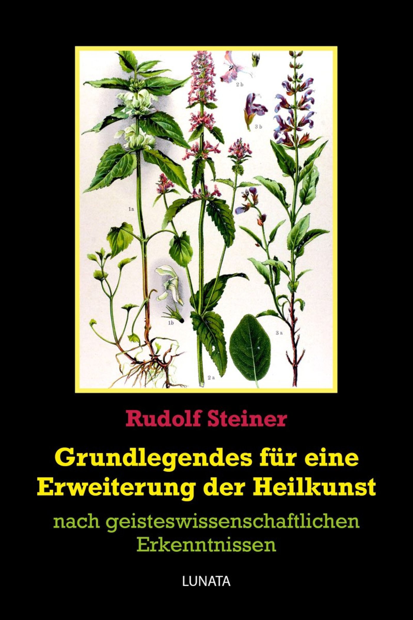 Grundlegendes zur Erweiterung der Heilkunst - Rudolf Steiner - E-Book