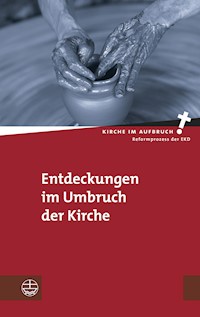 Entdeckungen im Umbruch der Kirche - - E-Book