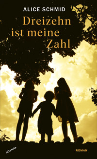 Dreizehn ist meine Zahl - Alice Schmid - E-Book
