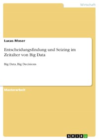 Entscheidungsfindung und Seizing im Zeitalter von Big Data - Lucas Moser - E-Book