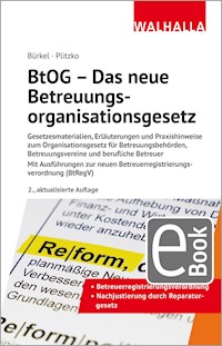 BtOG - Das neue Betreuungsorganisationsgesetz - Ina Bürkel - E-Book