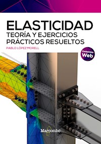 Elasticidad. Teoría y ejercicios prácticos resueltos - Pablo López Morell - E-Book