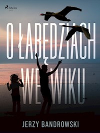O łabędziach we wiku - Jerzy Bandrowski - E-Book