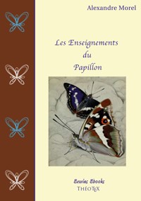 Les Enseignements du Papillon - Alexandre Morel - E-Book