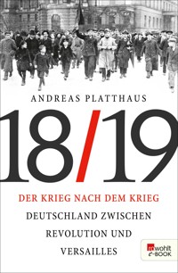Der Krieg nach dem Krieg - Andreas Platthaus - E-Book