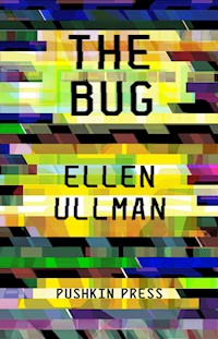 The Bug - Ellen Ullman - E-Book
