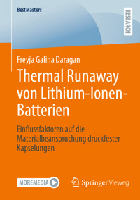 Thermal Runaway von Lithium-Ionen-Batterien - Freyja Galina Daragan - E-Book
