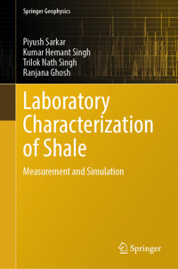 Laboratory Characterization of Shale - Piyush Sarkar - E-Book