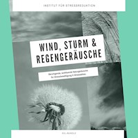 Wind, Sturm & Regengeräusche: Beruhigende, wohltuende Naturgeräusche für Stressbewältigung & Stressabbau - Institut für Stressabbau - Hörbuch