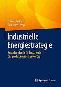 Industrielle Energiestrategie -  - E-Book