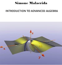 Introduction to Advanced Algebra - Simone Malacrida - E-Book