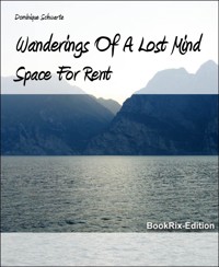 Wanderings Of A Lost Mind - Dominique Schwartz - E-Book