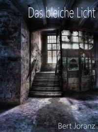 Das bleiche Licht - Bert Joranz - E-Book