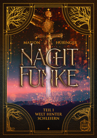 Nachtfunke - Marion Hübinger - E-Book
