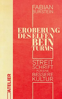 Eroberung des Elfenbeinturms - Fabian Burstein - E-Book