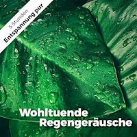 Wohltuende Regengeräusche - Martin Melzer - Hörbuch