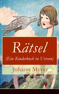 Rätsel (Ein Kinderbuch in Versen) - Johann Meyer - E-Book