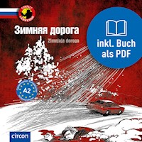 Zimnjaja doroga - D. M. Busek - Hörbuch