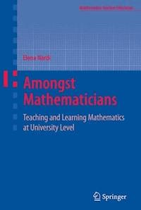 Amongst Mathematicians - Elena Nardi - E-Book
