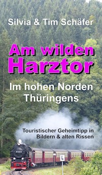 Am wilden Harztor: Im hohen Norden Thüringens - Silvia Schäfer - E-Book