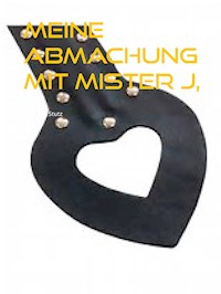 Meine Abmachung mit Mister J, - Christine Stutz - E-Book