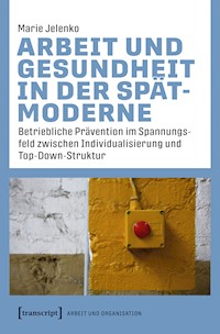 Arbeit und Gesundheit in der Spätmoderne - Marie Jelenko - kostenlos E-Book