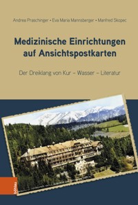 Medizinische Einrichtungen auf Ansichtspostkarten - Andrea Praschinger - E-Book