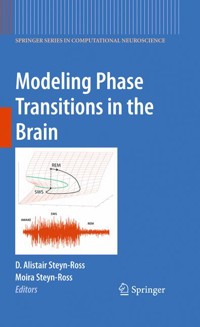 Modeling Phase Transitions in the Brain -  - E-Book