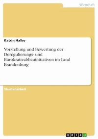 Vorstellung und Bewertung der Deregulierungs- und Bürokratieabbauinitiativen im Land Brandenburg - Katrin Halko - E-Book