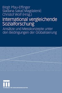 International vergleichende Sozialforschung -  - E-Book
