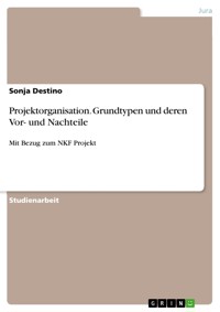 Projektorganisation. Grundtypen und deren Vor- und Nachteile - Sonja Destino - E-Book