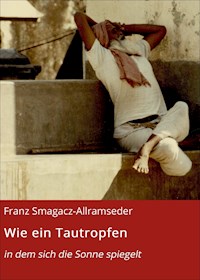 Wie ein Tautropfen - Franz Smagacz-Allramseder - E-Book