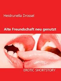 Alte Freundschaft neu genutzt - Heidrunella Drossel - E-Book