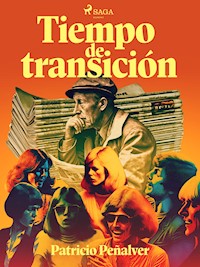 Tiempo de transición - Patricio Peñalver - E-Book