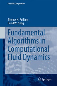 Fundamental Algorithms in Computational Fluid Dynamics - Thomas H. Pulliam - E-Book