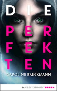 Die Perfekten - Caroline Brinkmann - E-Book