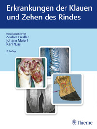 Erkrankungen der Klauen und Zehen des Rindes - Andrea Fiedler - E-Book