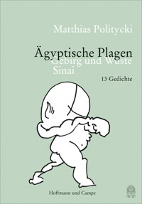 Ägyptische Plagen - Matthias Politycki - E-Book