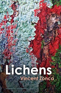 Lichens - Vincent Zonca - E-Book