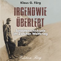 Irgendwie überlebt - Klaus G. Förg - Hörbuch