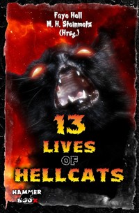 13 Lives of Hellcats - Andreas Gruber - E-Book