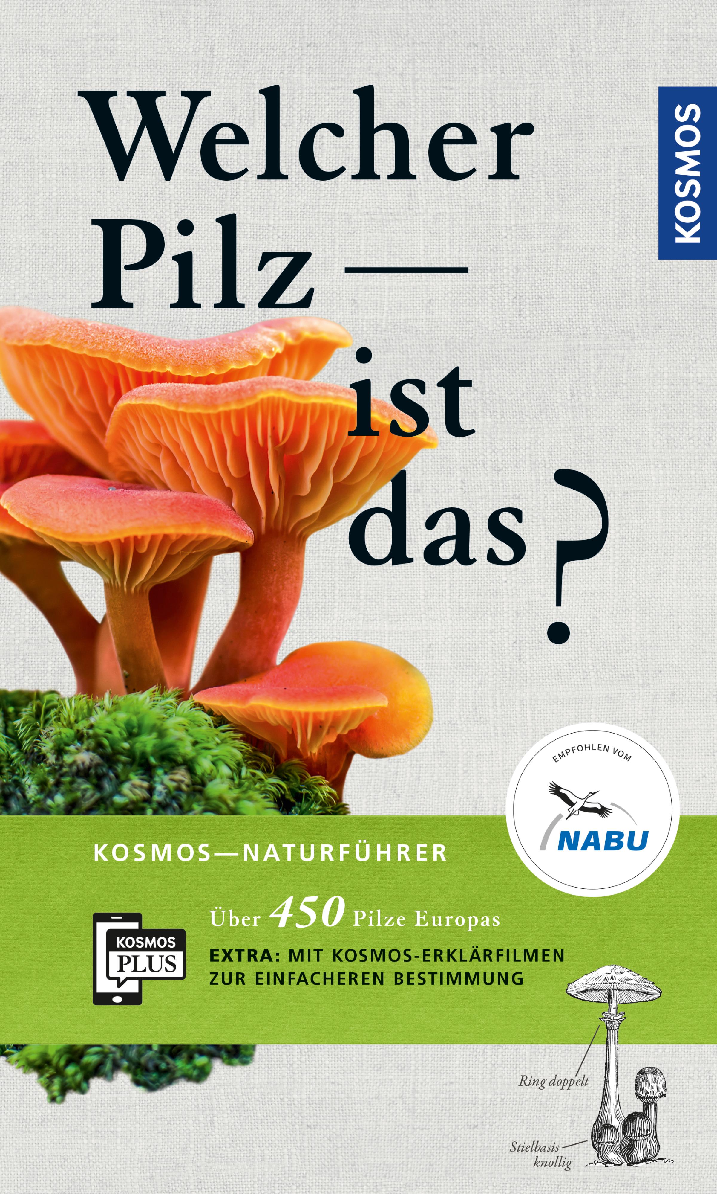 Welcher Pilz ist das? - Andreas Gminder - E-Book