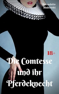 Die Comtesse und ihr Pferdeknecht - Bernadette Binkowski - E-Book
