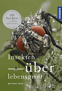 Insekten überlebensgroß - Matthias Helb - E-Book