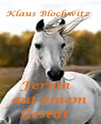 Ferien auf einem Gestüt - Klaus Blochwitz - E-Book