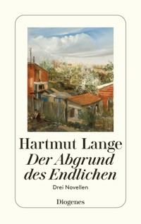 Der Abgrund des Endlichen - Hartmut Lange - E-Book