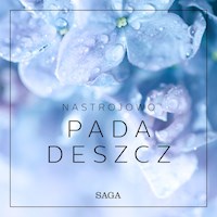 Nastrojowo - Pada deszcz - Rasmus Broe - Hörbuch